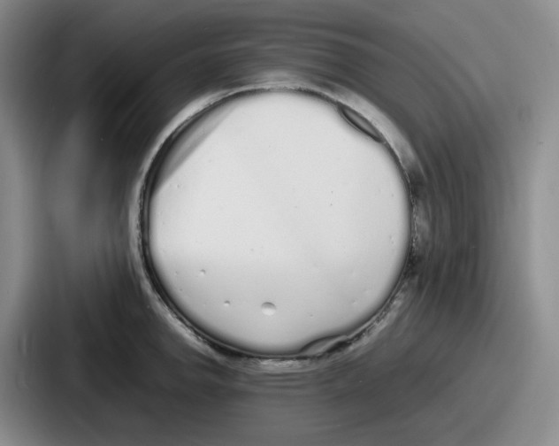 X0000086911142200705141657