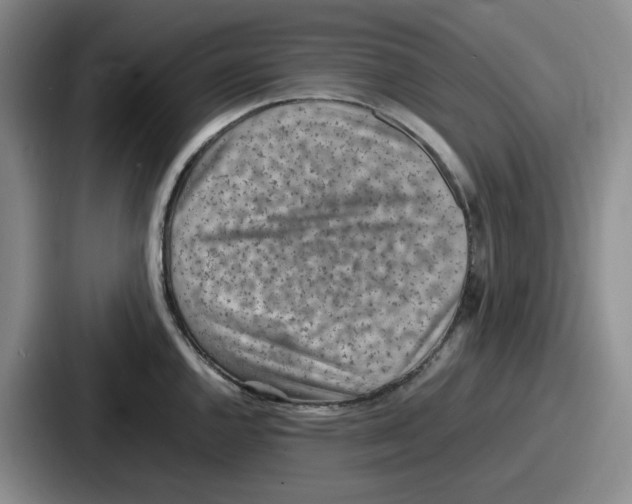 X0000086911144200705141657