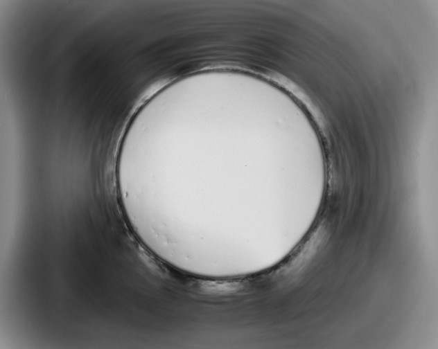 X0000086911145200705141657