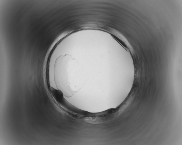 X0000086911146200705141657