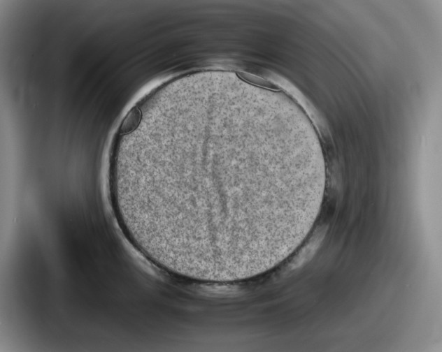 X0000086911147200705141657