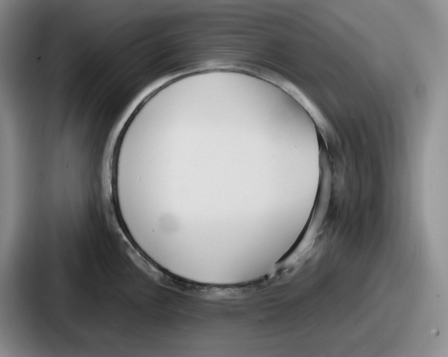 X0000086911148200705141657