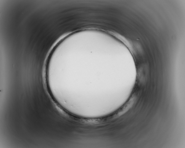 X0000086911149200705141657