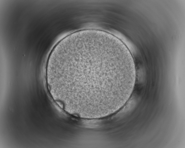 X0000086911150200705141657