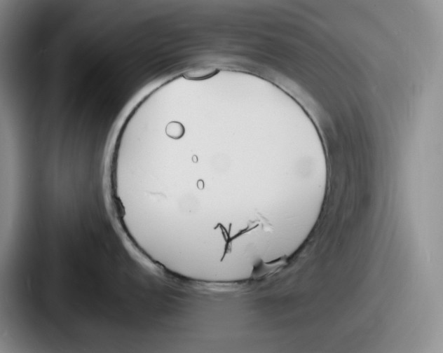 X0000086911152200705141657