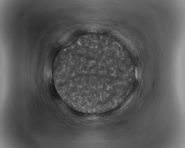 X0000086911155200705141657