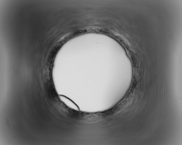 X0000086911159200705141657