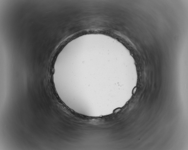 X0000086911160200705141657