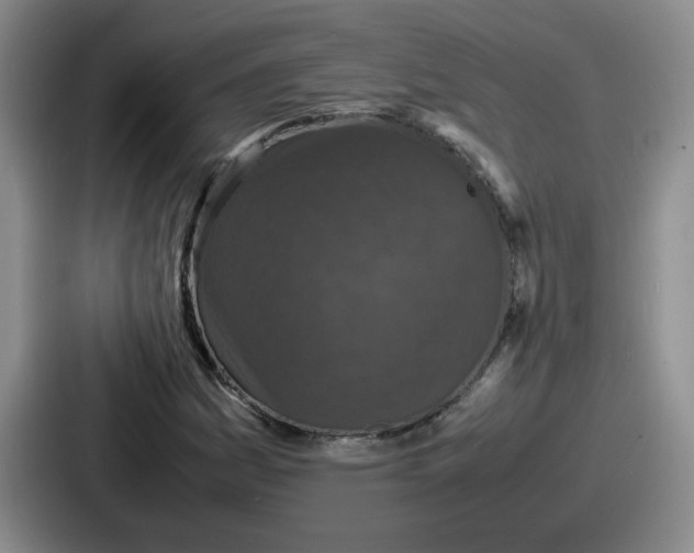 X0000086911161200705141657