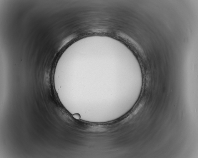 X0000086911162200705141657