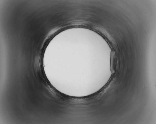 X0000086911164200705141656