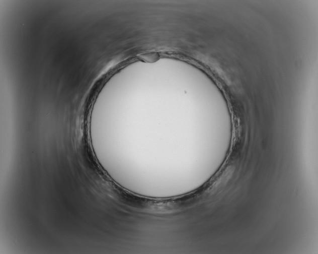 X0000086911165200705141656