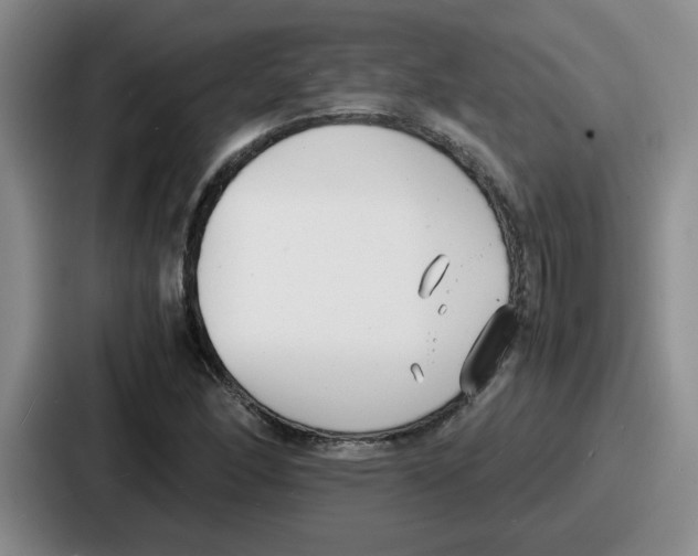 X0000086911166200705141656