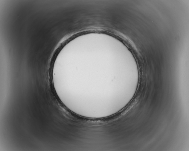 X0000086911168200705141656