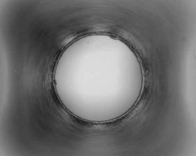 X0000086911169200705141656