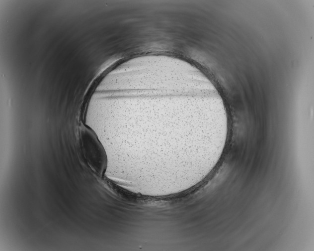 X0000086911170200705141656