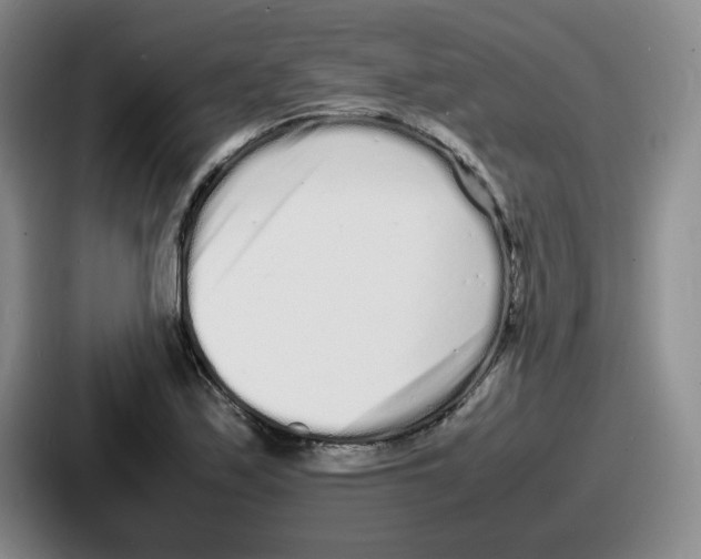 X0000086911171200705141656