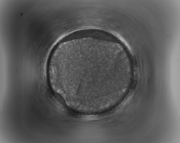 X0000086911173200705141656