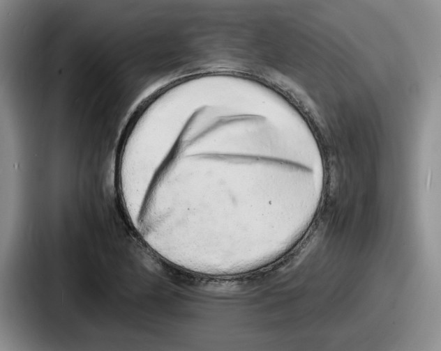 X0000086911174200705141656