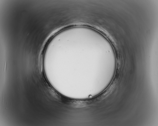 X0000086911175200705141656