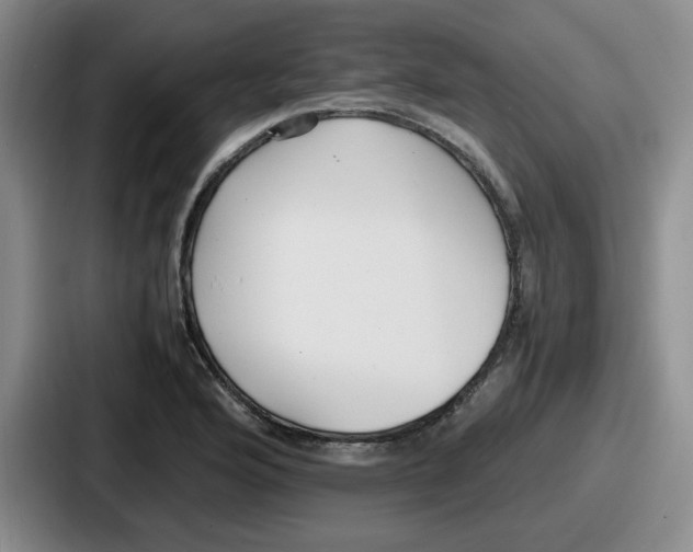 X0000086911176200705141656