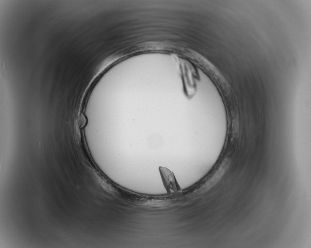 X0000086911178200705141656
