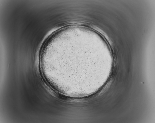 X0000086911179200705141656