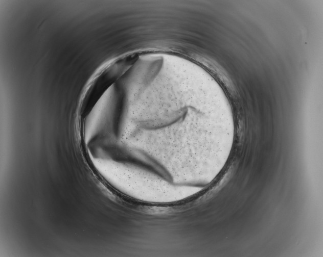 X0000086911180200705141656