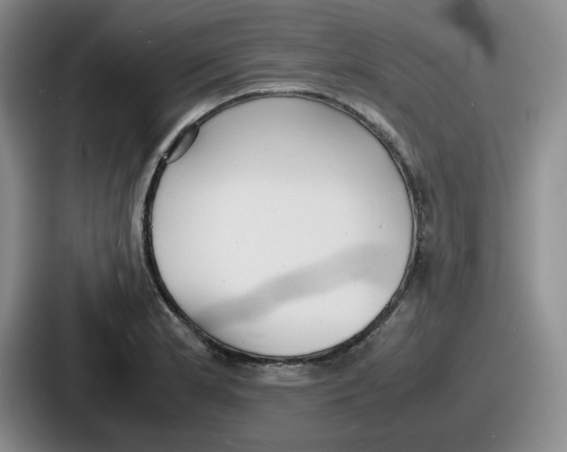 X0000086911181200705141656