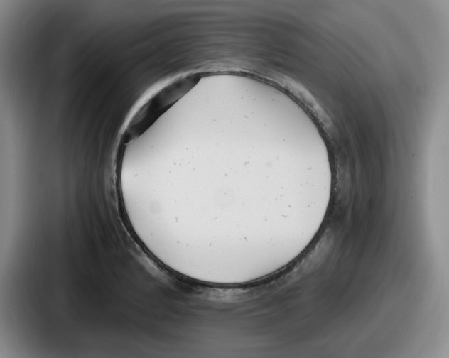 X0000086911184200705141656