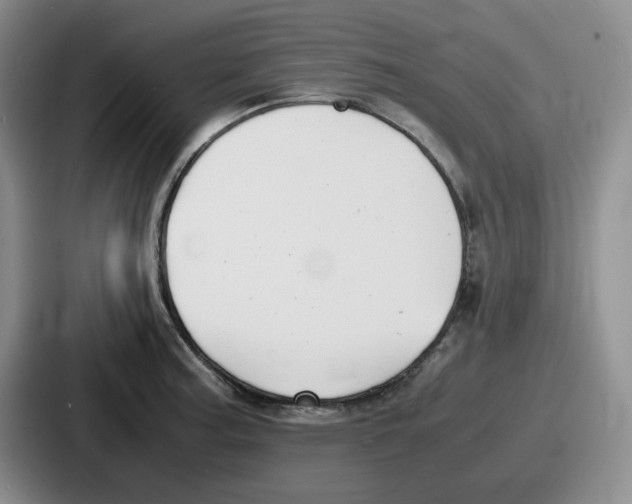 X0000086911187200705141656