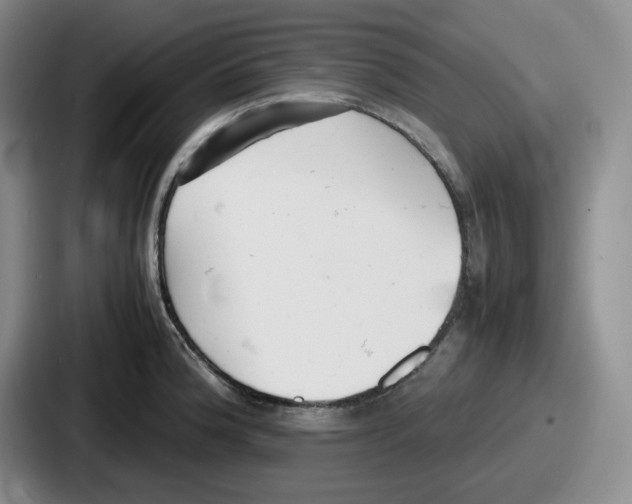 X0000086911188200705141656