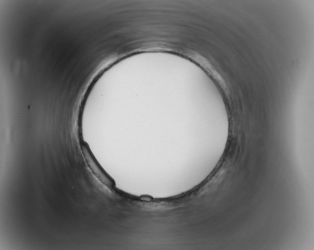 X0000086911189200705141656