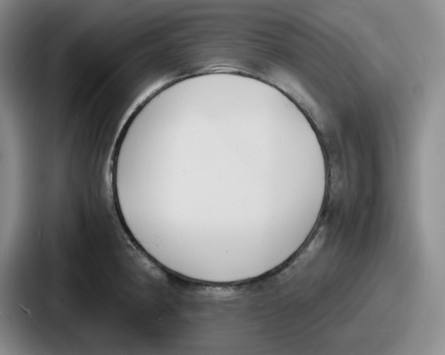 X0000086911190200705141656