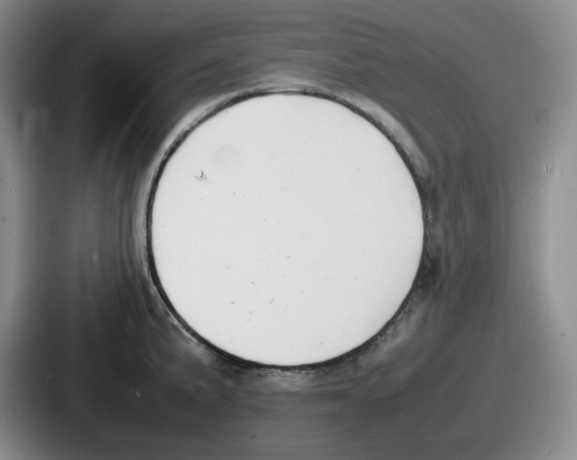 X0000086911191200705141656