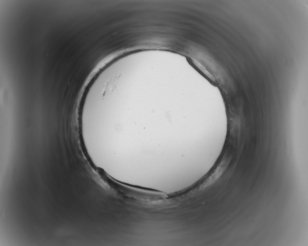 X0000086911192200705141656