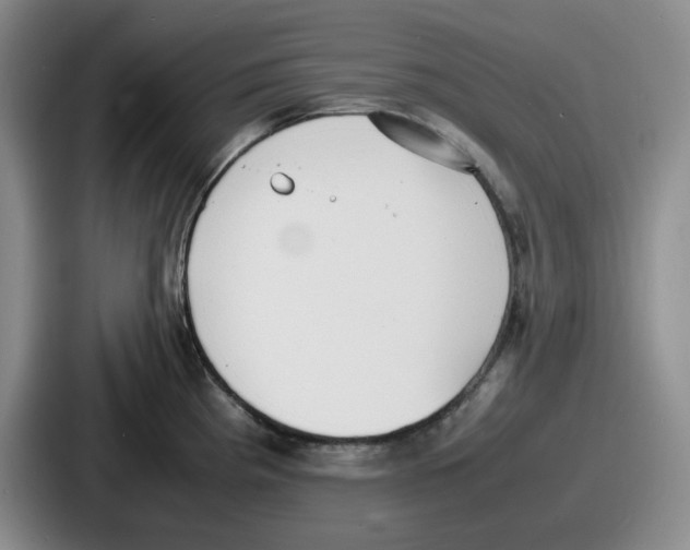 X0000086911193200705141656