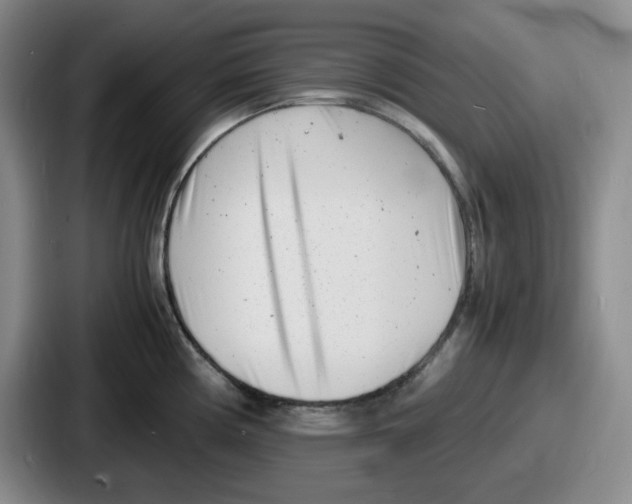 X0000086911194200705141656