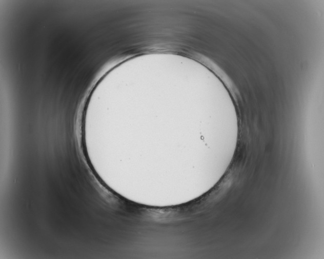 X0000086911195200705141656