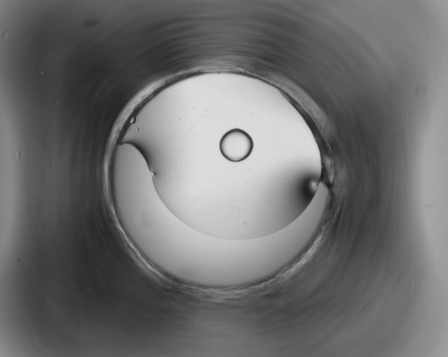 X0000086911196200705141656