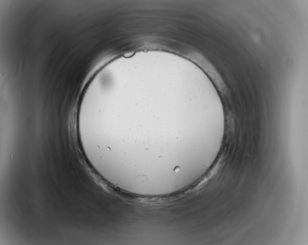 X0000086911198200705141656