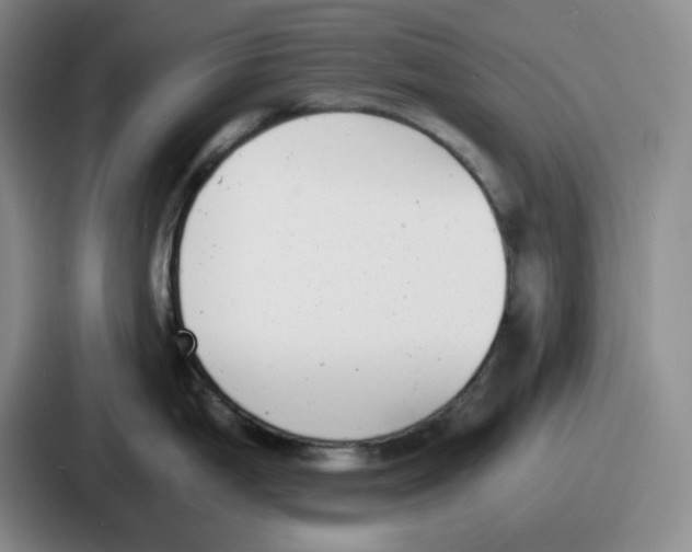 X0000086911199200705141656