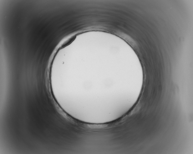 X0000086911200200705141656