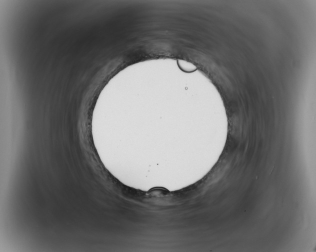 X0000086911201200705141655