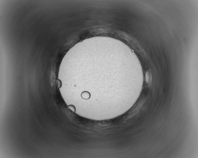 X0000086911203200705141655