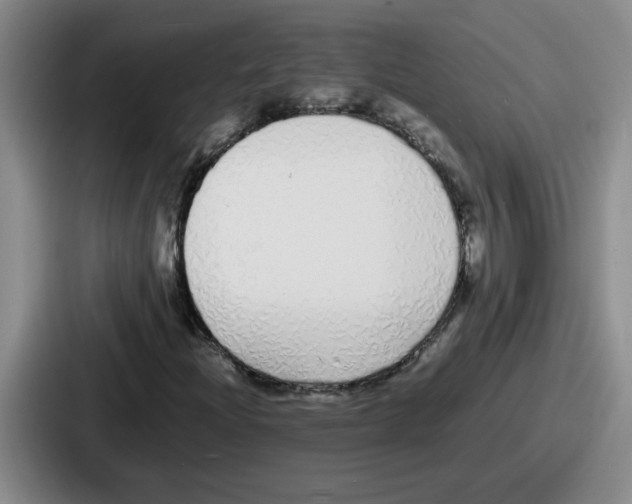 X0000086911204200705141655