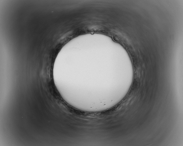 X0000086911205200705141655