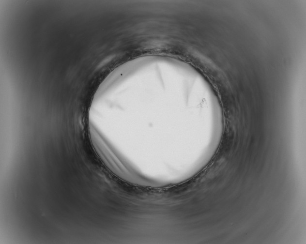 X0000086911206200705141655