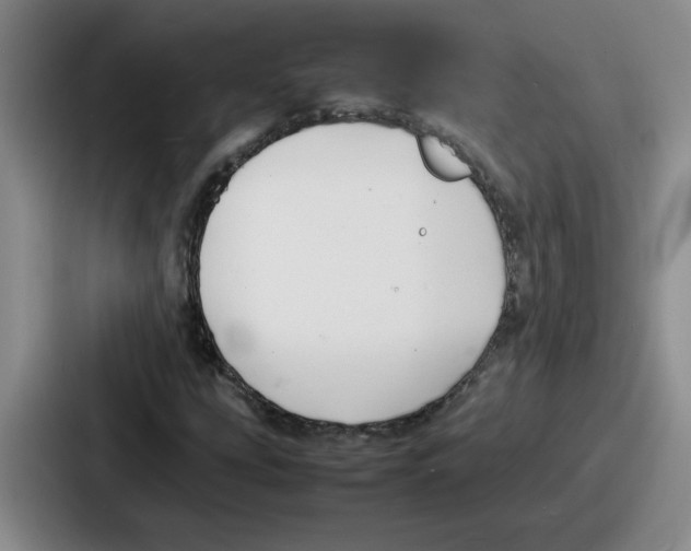 X0000086911207200705141655