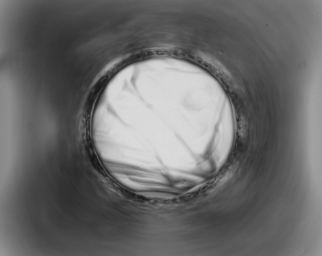 X0000086911208200705141655